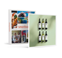 SMARTBOX - Coffret Cadeau Coffret Découverte de 6 vins bio à déguster à la maison -  Gastronomie