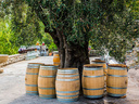 SMARTBOX - Coffret Cadeau Atelier Initiation et Dégustation Vin Biologique dans un domaine viticole -  Gastronomie