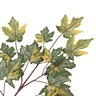Vidaxl 5 pièces feuilles artificielles d'érable vert 75 cm