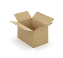 Caisse carton brune simple cannelure à montage instantané raja 29 5x19 5x19 cm (lot de 20)