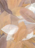 Plumes coupées camaieu beige 10g 6cm
