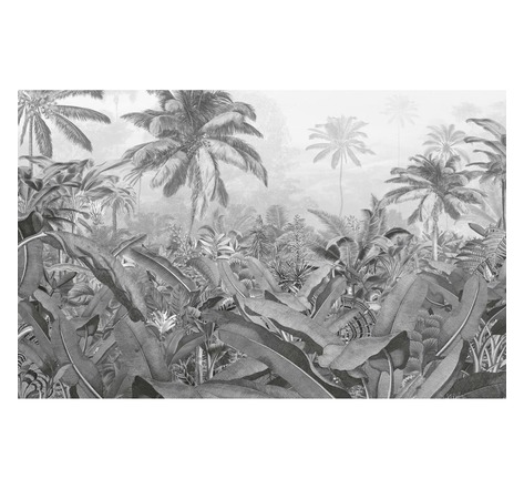 Komar papier peint photo amazonia noir et blanc 400x250 cm