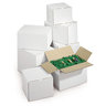 Caisse carton blanche double cannelure RAJA 25x20x15 cm (colis de 15)