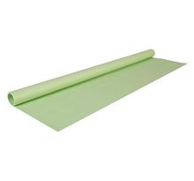 Rouleau papier kraft 3x0.70m vert bourgeon clairefontaine