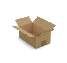 Caisse carton plate brune simple cannelure RAJA 25x15x10 cm (colis de 25)