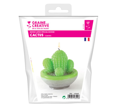 Moule à bougie en latex Cactus