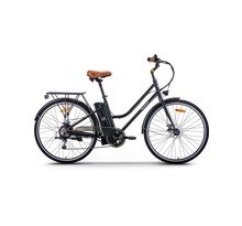 Vélo cityzen + 1 batterie supplémentaire (jusqu'à 120 km d'autonomie) -