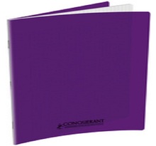 CONQUERANT cahier polypro 210x297 cm 96 pages