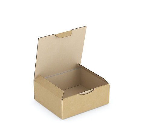 Boîte carton brune d'expédition RAJAPOST 14,5x13x5,5 cm (colis de 50)