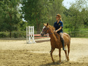SMARTBOX - Coffret Cadeau Leçon d'équitation ou agréable balade à cheval -  Sport & Aventure
