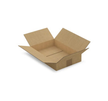 Caisse carton brune simple cannelure raja 31x21 5x5 5 cm (lot de 25)