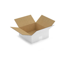 Caisse carton blanche simple cannelure raja 25x25x10 cm (lot de 25)