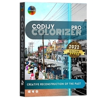 Codijy colorizer pro 4 - licence perpétuelle - 1 pc - a télécharger