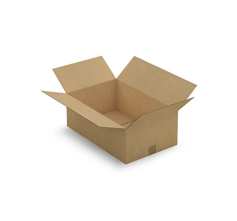 Caisse carton brune simple cannelure RAJA 55x35x20 cm (colis de 20)
