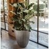 Capi Pot à fleurs Urban Tube bas élégant 55x73 cm Gris foncé