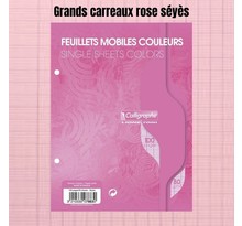 Feuillets Mobiles Rose Perforées 17X22 Grands Carreaux Seyes 80G Clairefontaine