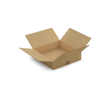 Caisse carton brune simple cannelure à base carrée raja 40x40x10 cm (lot de 20)