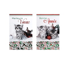 Carte de voeux avec enveloppe - lot de 5 cartes bonne année et meilleurs voeux chatons