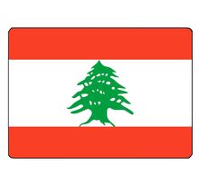 Surface de découpe Liban en verre by 28.5 x 20 cm