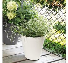 DEROMA Pot de fleurs Save R bianco a réserve d'eau - Coloris blanc - 16cm