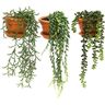 Plantes artificielles en pot terracotta (lot de 3)