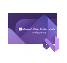 Microsoft visual studio 2022 professionnel - clé licence à télécharger