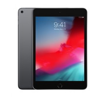 iPad mini 20,1 cm (7.9") 256 Go Wi-Fi 5 (802.11ac) Gris iOS 12