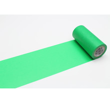 Masking Tape MT Casa Uni 10 cm vert - green - Masking Tape (MT)