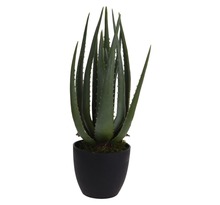 ProGarden Plante artificielle en pot Aloe Vera 25x45 cm