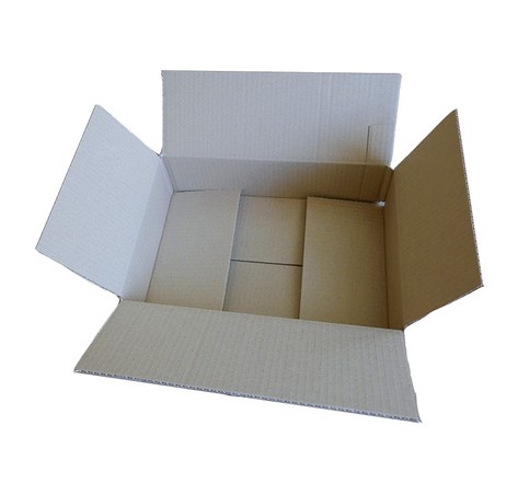 Carton d'emballage 31 x 21 x 7,5 cm