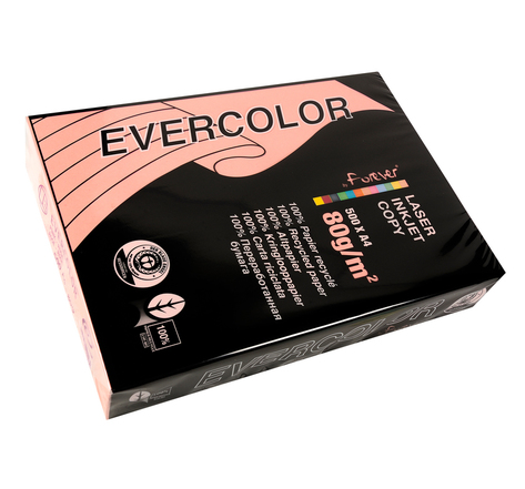 Ramette de 500 feuilles papier couleur recyclé EVERCOLOR 80gr format A4 rose x 5 CLAIREFONTAINE