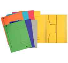 chemise-trieur, format A4, carton robuste coloré 320 LEITZ