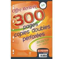 Pqt 75 (300 pages) Copies doubles A4 90g Perforées Quadrillées 5x5 CALLIGRAPHE
