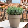 DEROMA Pot de fleurs rond Like taupe - Coloris taupe - 22cm