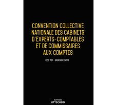 Convention collective nationale comptables et commissaires aux comptes - 02/05/2023 dernière mise à jour uttscheid