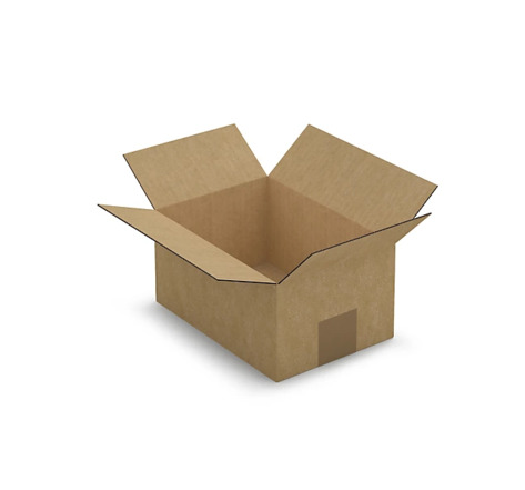 Caisse carton brune simple cannelure raja 21 5x15x10 5 cm (lot de 25)