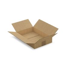 10 cartons d'emballage 31 x 21.5 x 5.5 cm - simple cannelure