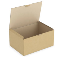 Boîte carton brune d'expédition RAJAPOST 31x22x15 cm (colis de 50)