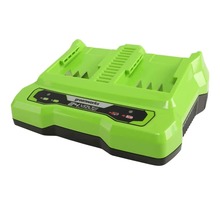 Greenworks chargeur à double fente 24 v 2 a