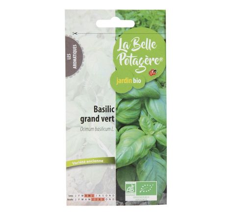 Graines à semer - Basilic grand vert - 0,5 g