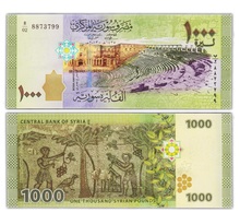 Billet de Collection 1000 Pounds 2013 Syrie - Neuf - P116