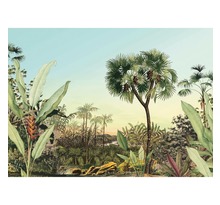 Komar papier peint photo oasis 350x250 cm