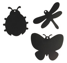 Insectes à gratter 8 cm 6 pièces activité manuelle enfant