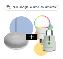 Pack "OK Google allume les lumières" : Google Nest Mini (Galet) + prise + ampoule PlugnSay Color Bulb