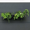 Nature Kit de fleurs et d'herbes/jardin vertical