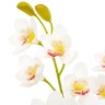 vidaXL Plante artificielle avec pot Orchidée Blanc 90 cm