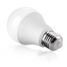 Ampoule e27 led 20w 220v a80 - blanc froid 6000k - 8000k - silamp