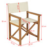 Vidaxl chaise pliable de metteur en scène bois de teck solide