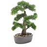 Emerald bonsaï de cèdre artificiel sur plaque marronne 45 cm