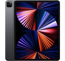 Apple - 12,9 iPad Pro (2021) WiFi + Cellulaire 256Go - Gris Sidéral